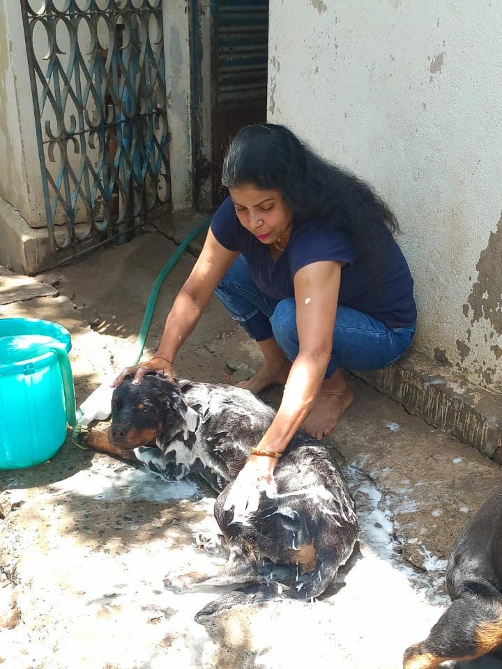 The importance of food and water for animal well-being